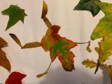 Leaf Figure Cartwheeling