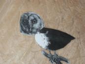 Owl collage, The Conference of the Birds