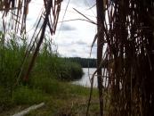 Workshops with natural materials